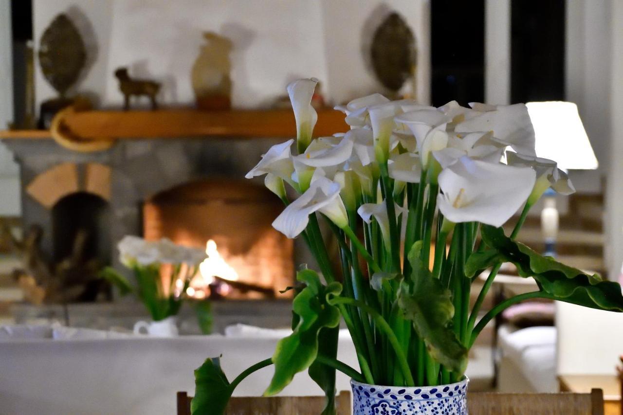 Quinta Cielo - Hotel Boutique Y Restaurante Malinalco Dış mekan fotoğraf